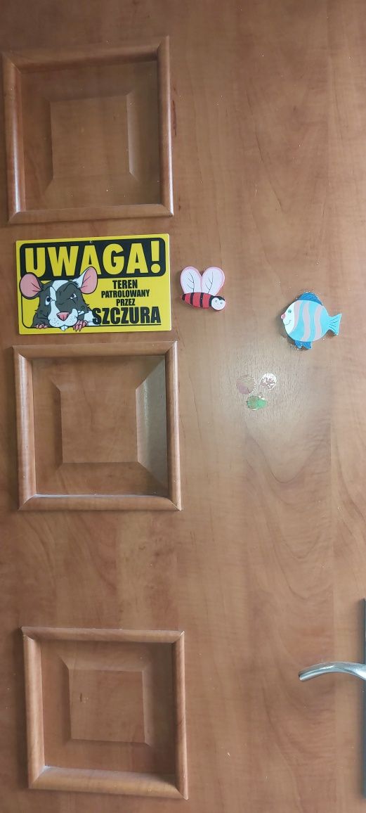 Drzwi wewnętrzne lewe
