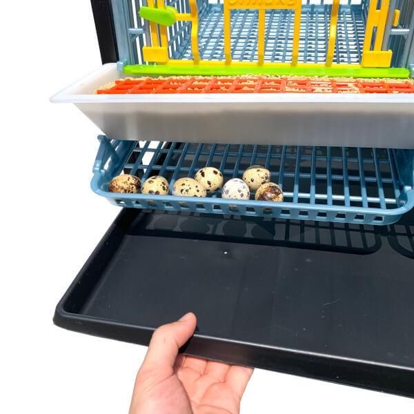 Klatka dla Przepiórek - 2 Poziomowa