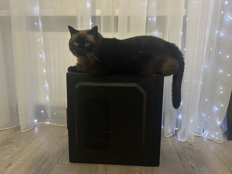 Бюджетний ігровий ПК 1050ti