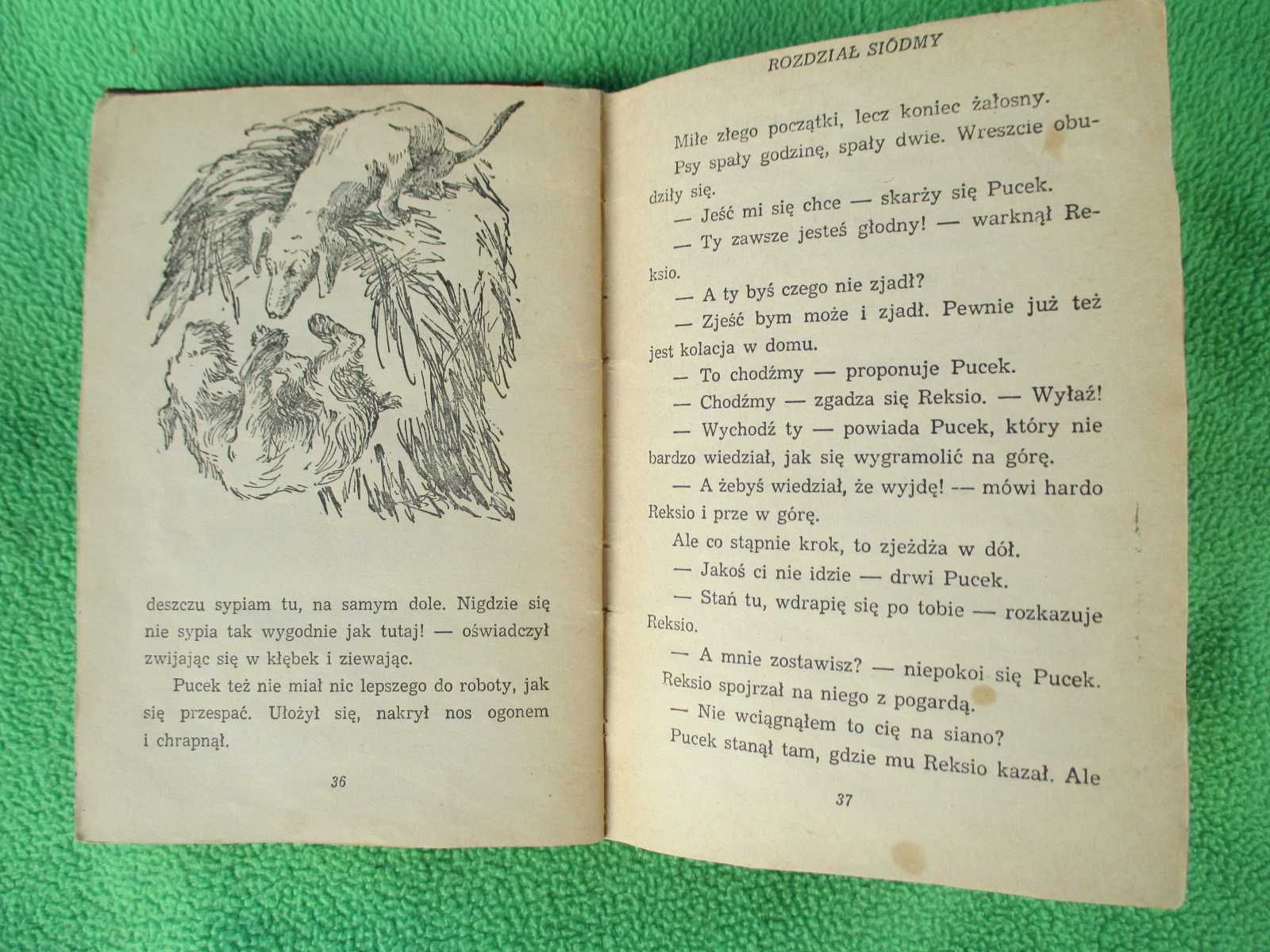 Reksio i Pucek - Jan Grabowski