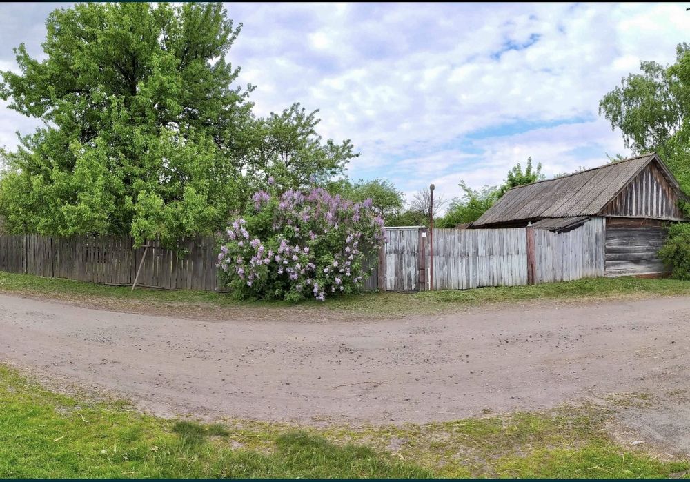Продам будинок в с. Мохнатин ( 20 км від Чернігова)