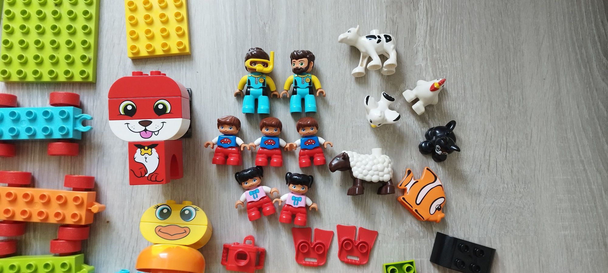 LEGO duplo klocki. ok.200sztuk 6 zestawów