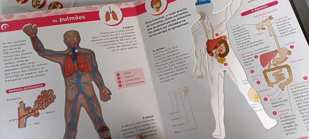 Livro "O corpo Humano"