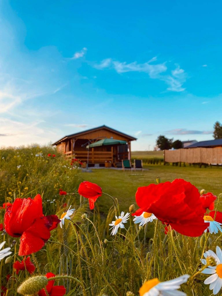 Domek letniskowy nad jeziorem Skarlińskim, domki, wędkowanie mazury