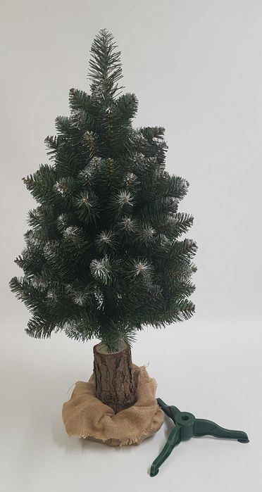 Choinka na pniu, jodła śnieżona 100 cm