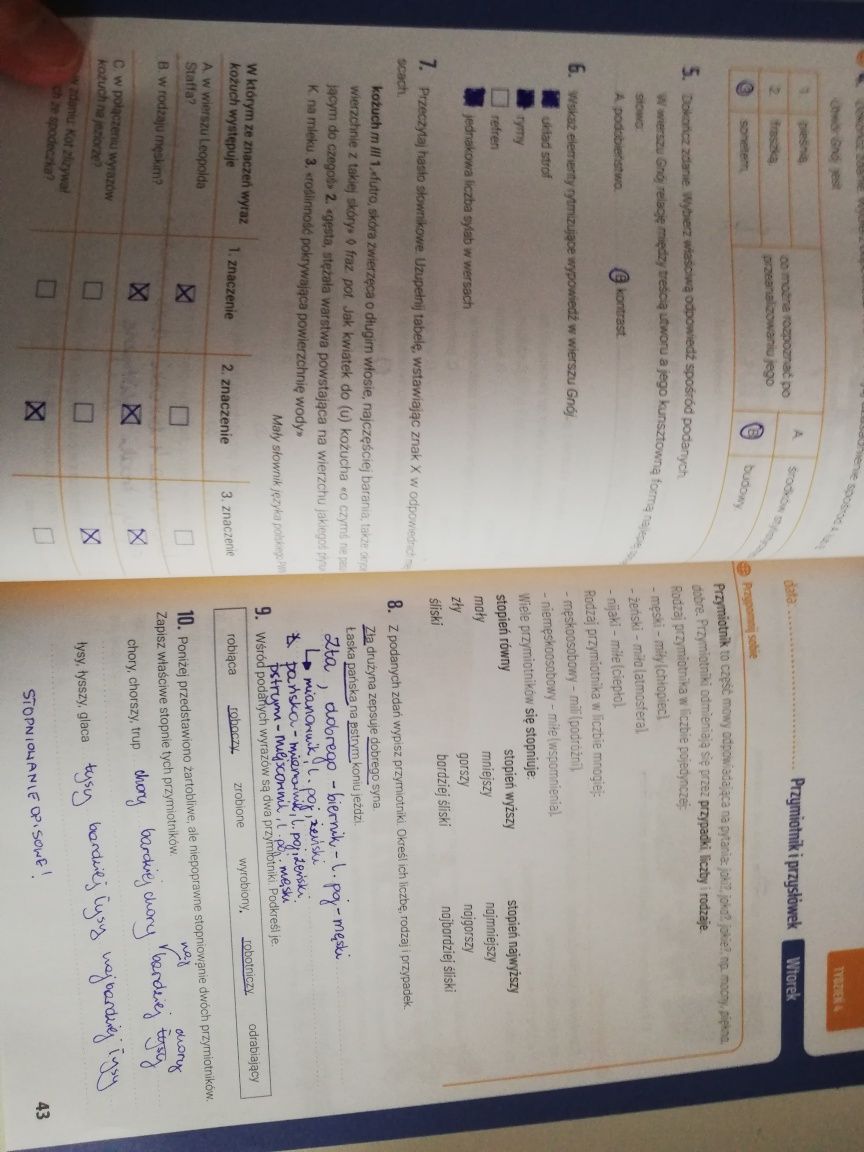 Kalendarz ósmoklasisty. Język polski