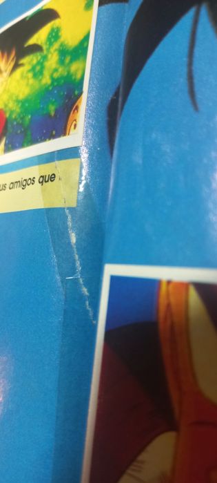 Caderneta Dragon Ball Z anos 90   Faltam apenas 19 cromos..