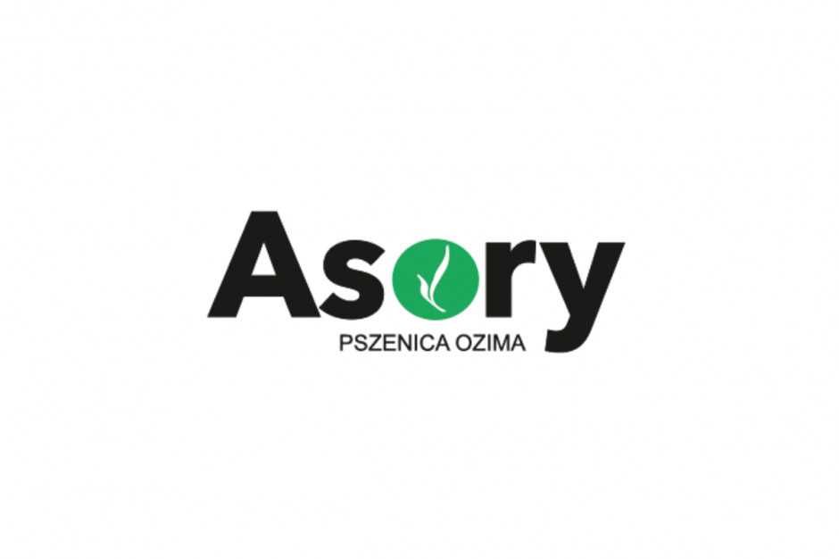 Pszenica Asory z genem żytnim