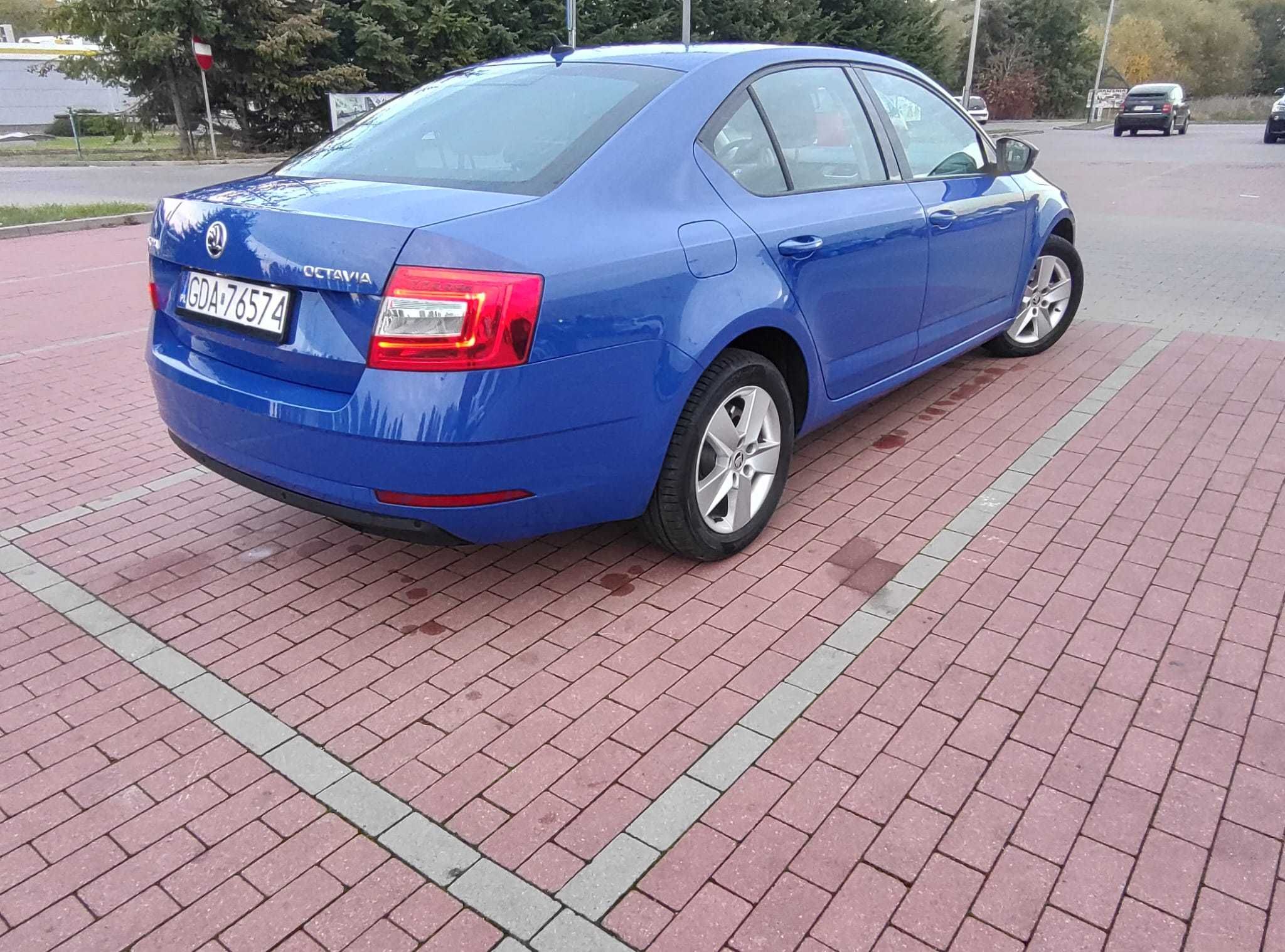 Skoda Octavia 2019 1.6TDI 115km