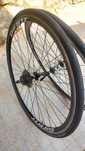Rodas Dtswiss  com autocolantes Giant