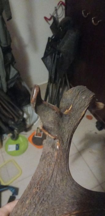 Super Mylkus jelenia