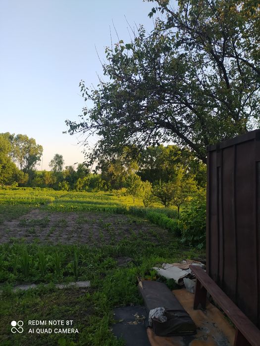 Продажа дачного участка