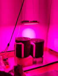 225W фитолампа full spectrum  фито лампа свет для растений