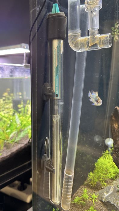 Aquario complet 200lt c/tampa Aquantlantis 100x40x50