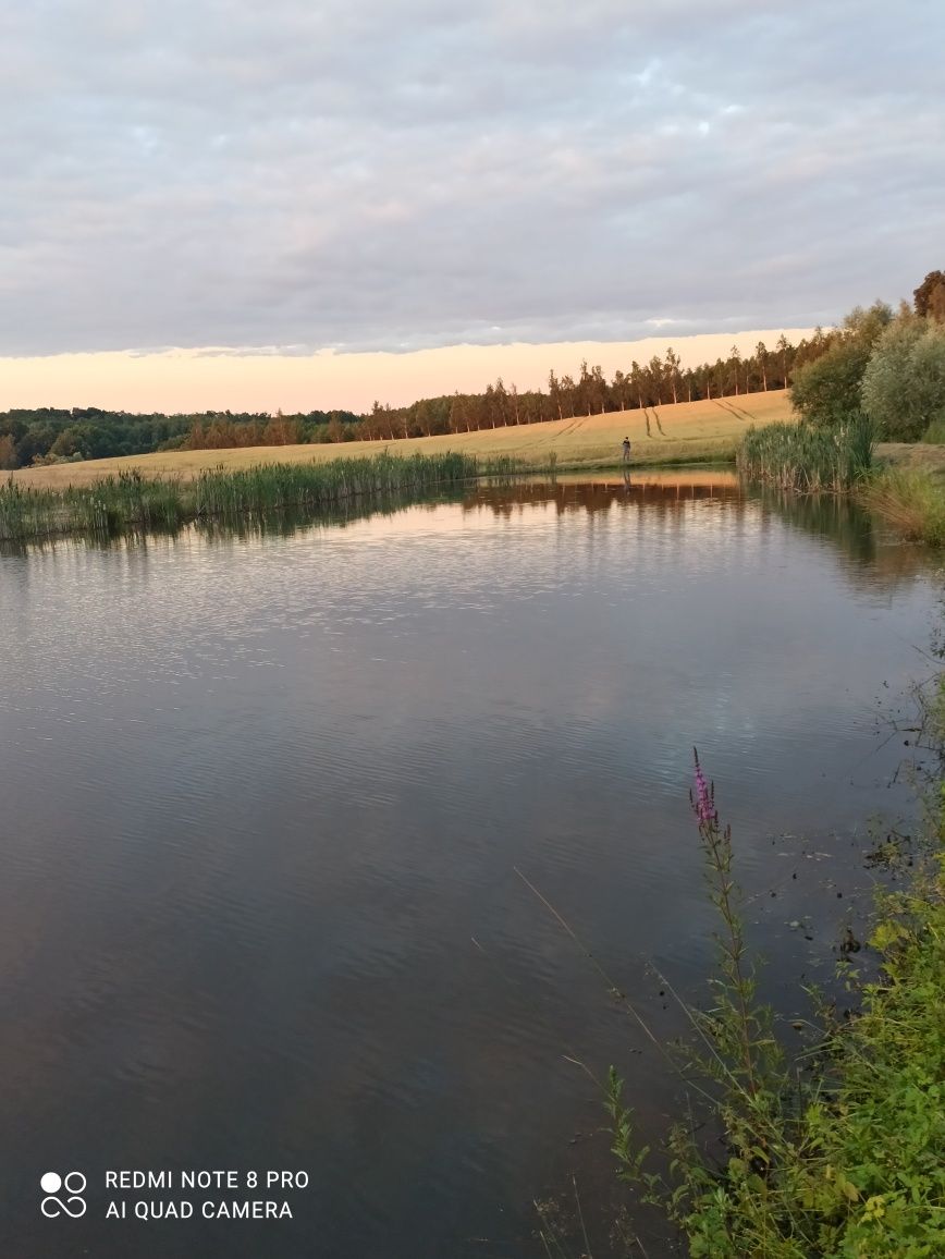 Staw na Ryby Łowisko czysta woda