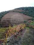 Terreno  para venda