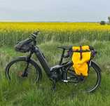 Sprzedam Riese Müller Homage na Rohloff dual battery na pasku, rama 49