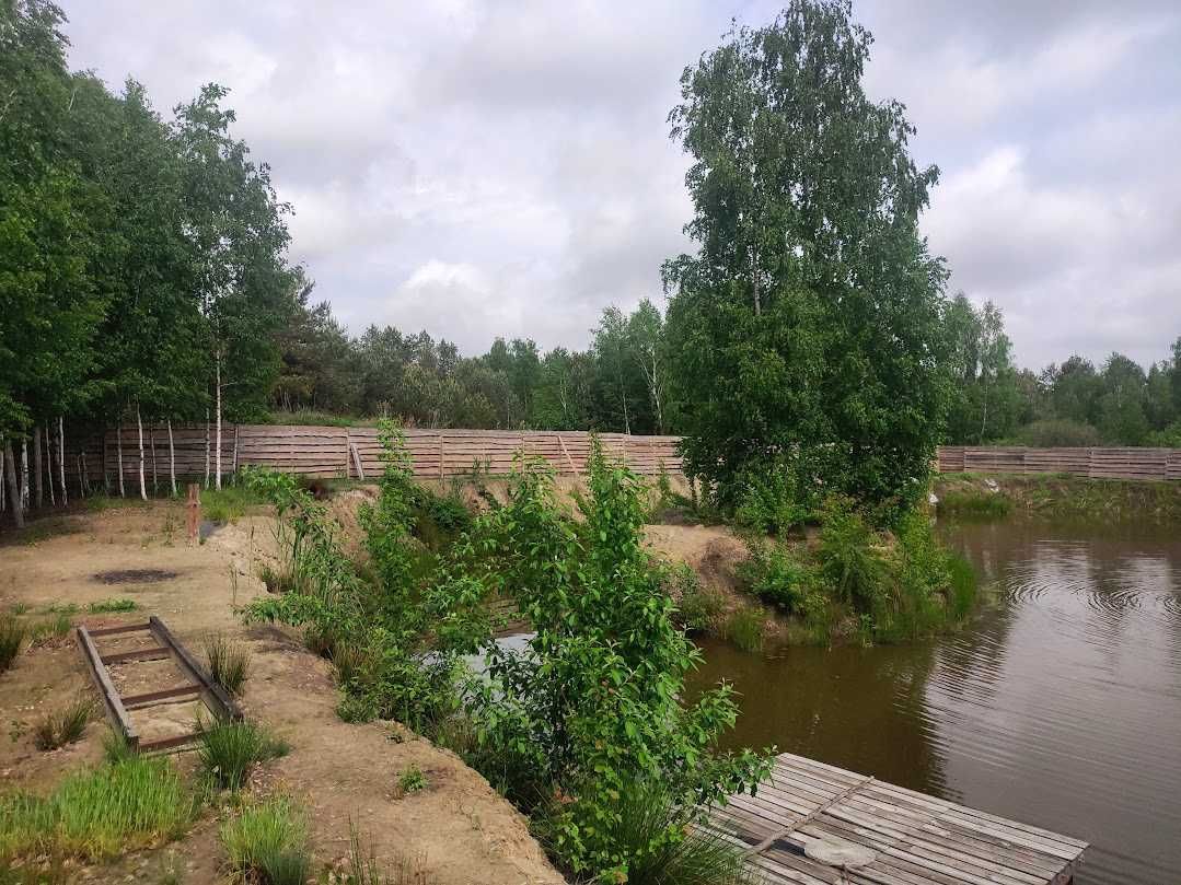 Дачна ділянка пів гектара з власним озером в оточенні ліса
