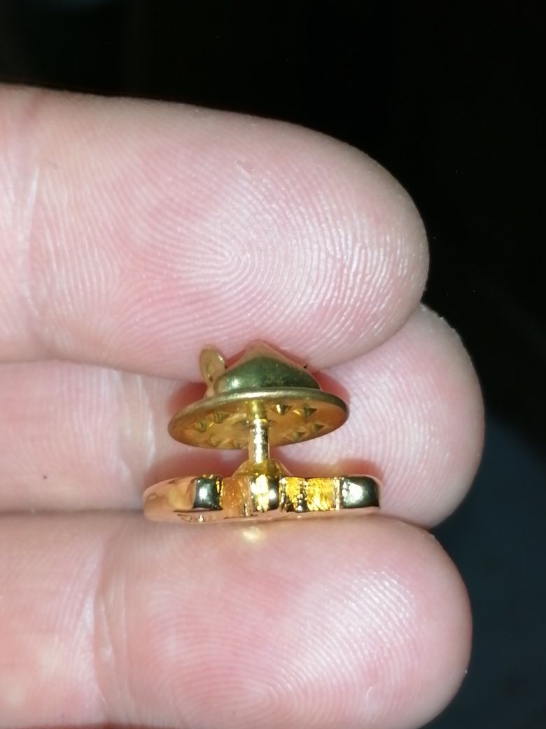 Pin de Ferradura e cabeça de cavalo