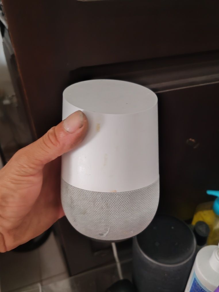 Google home e home mini