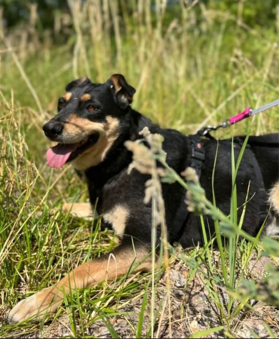 EWELINKA błaga o szanse