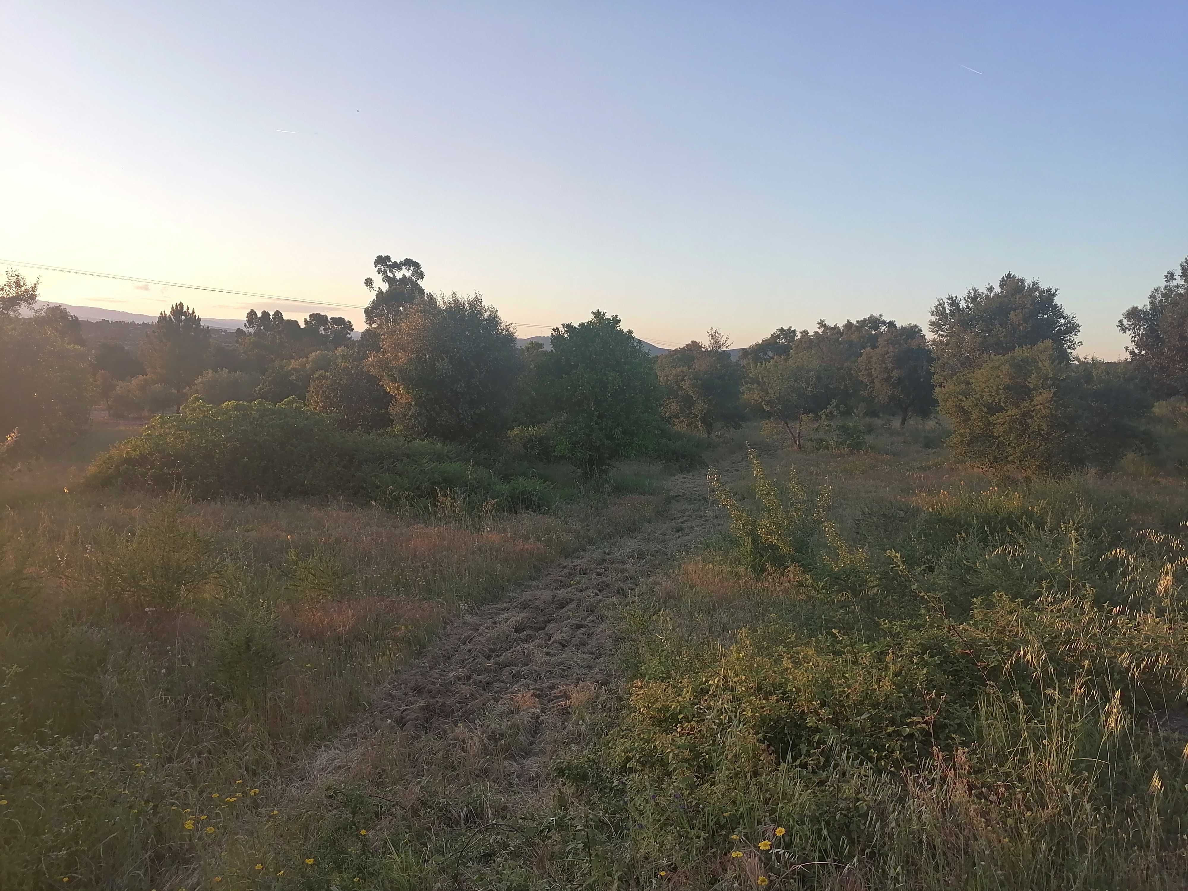 Terreno na Aldeia da Bemposta, Penamacor