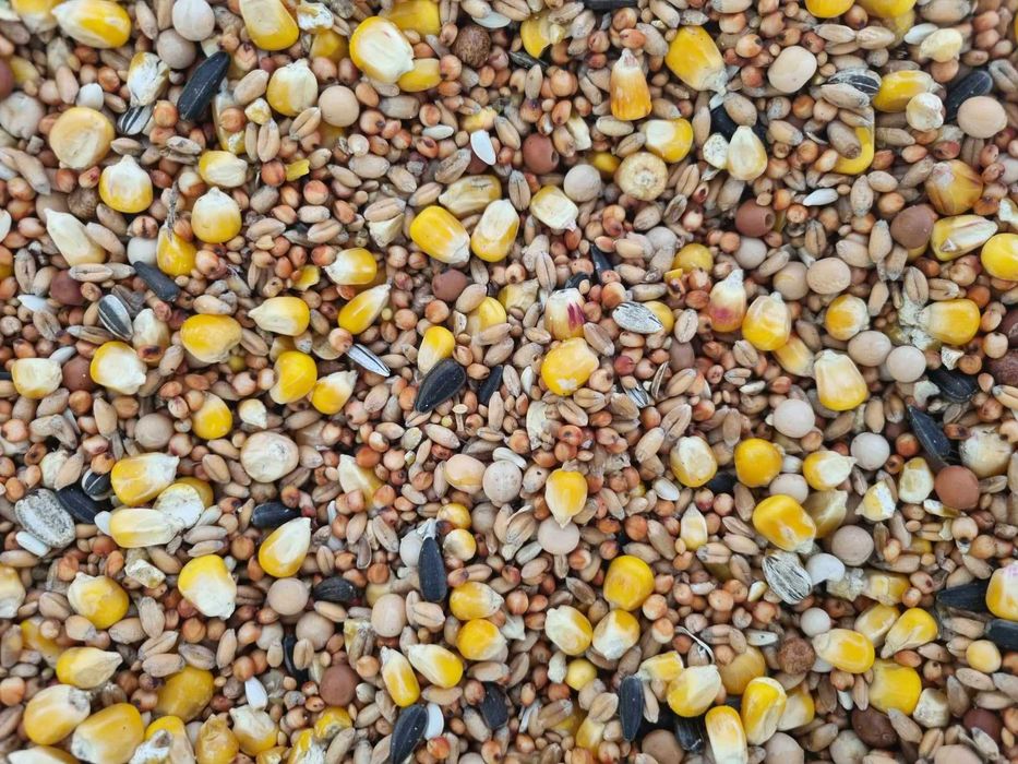 Margrano - S - mix dla gołębi z kukurydzą 25 kg