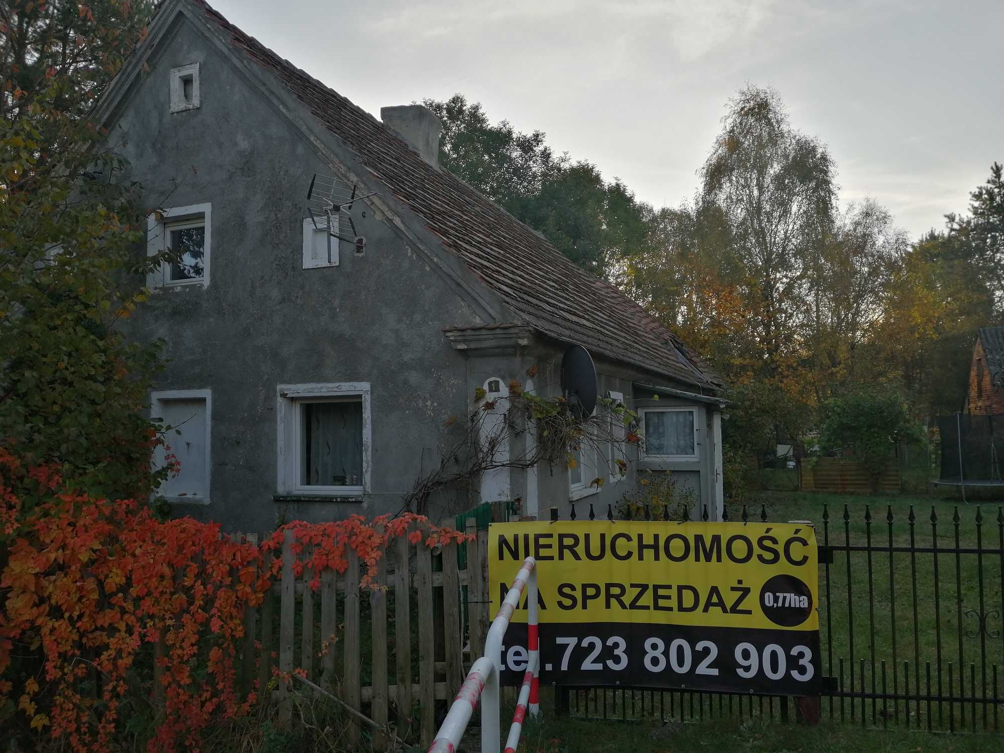 Nieruchomość 0,77 ha - Działka w pobliżu Lasu ! / Dom 89m2