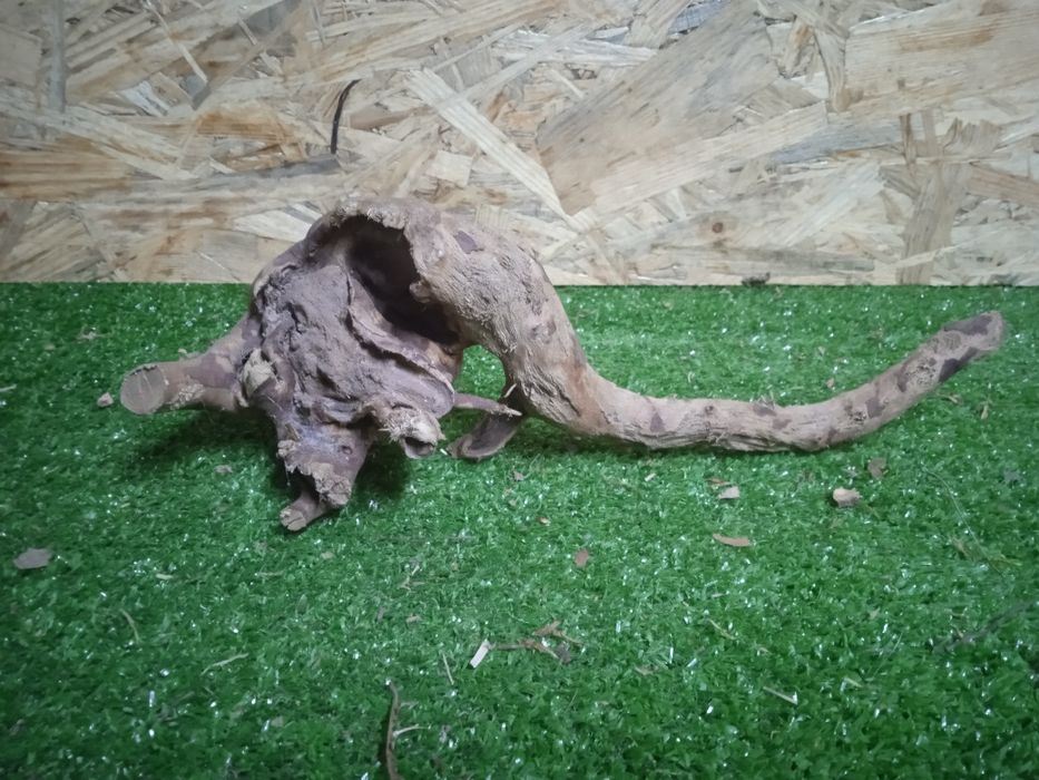 Korzeń do akwarium Red Moore Wood nr 749 o wymiarach 30/10/10