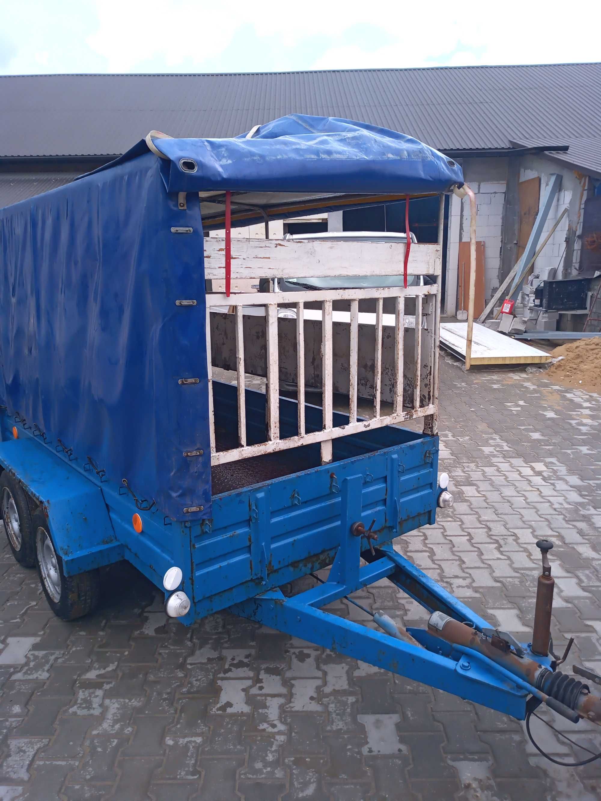 Przyczepka samochodowa do transportu zwierząt.
