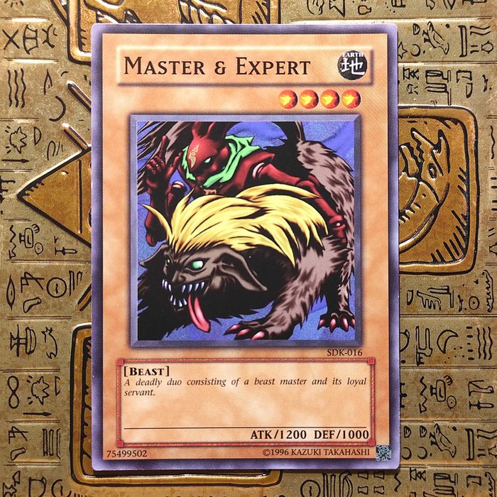 Master and Expert Yugioh