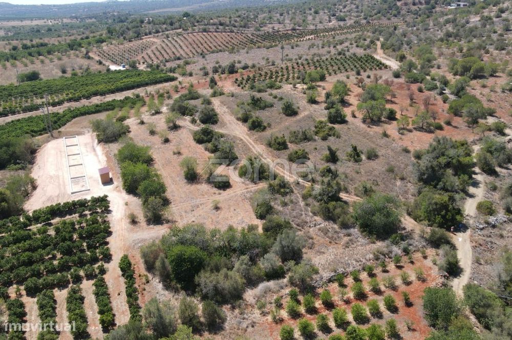 Dois Terrenos rústicos em Messines, Alfarrobeiras c/ 2.080m2