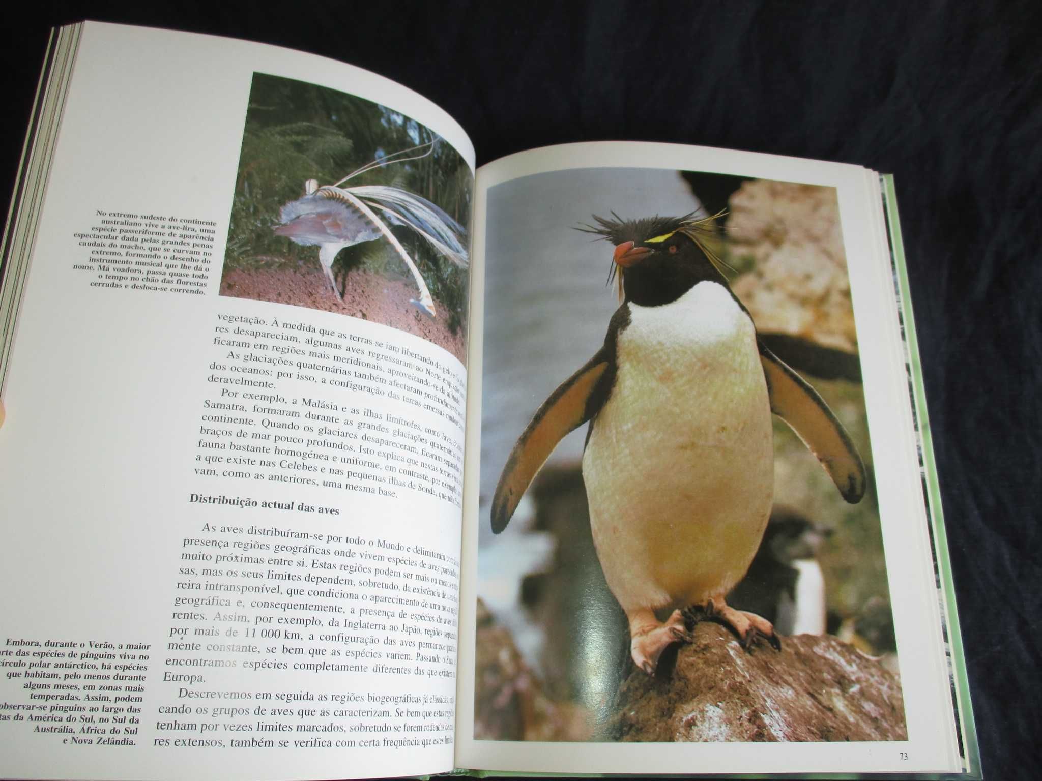 Livros As Aves I e II Segredos da Natureza Ediclube