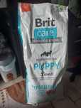 Karma dla szczeniąt brit care hypoallergenic