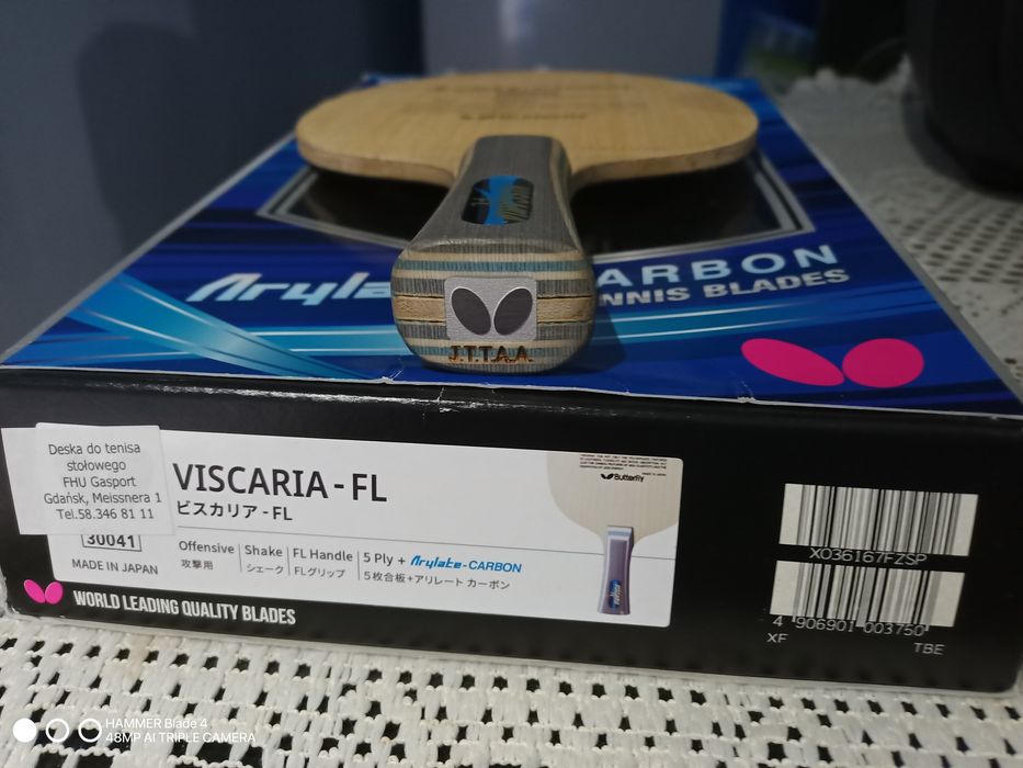 Butterfly Viscaria -FL