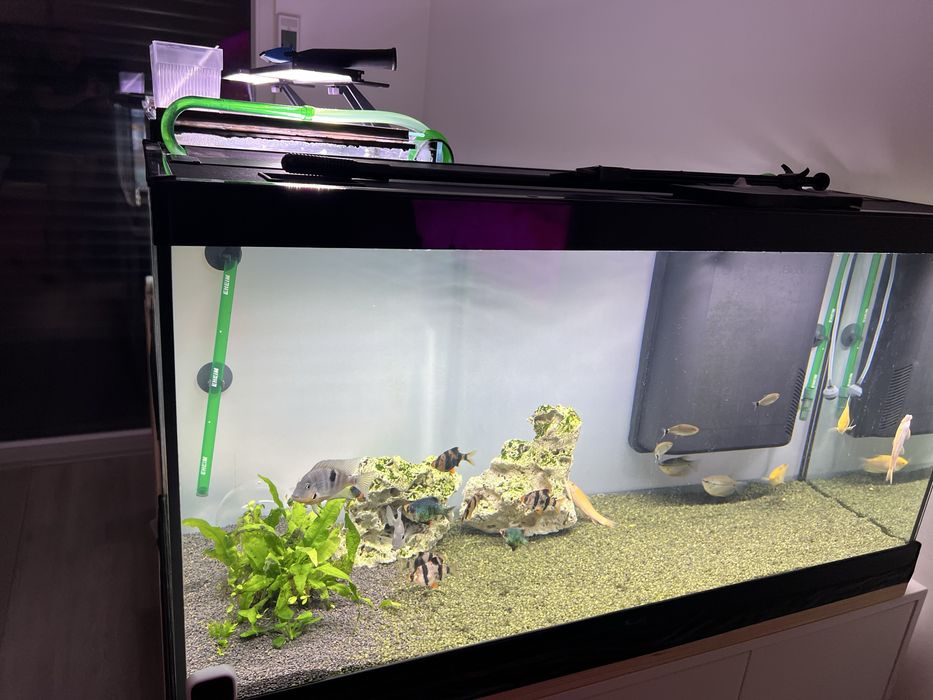 Aquário atlantis 200 L