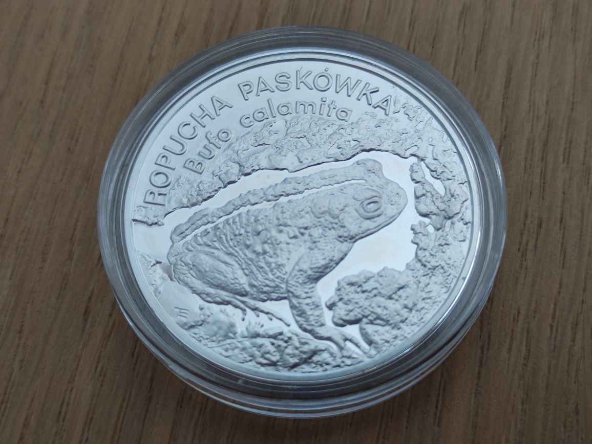 ROPUCHA PASKÓWKA 20 zł, srebrna moneta NBP zwierzęta świata RARYTAS