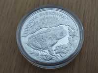 ROPUCHA PASKÓWKA 20 zł, srebrna moneta NBP zwierzęta świata RARYTAS