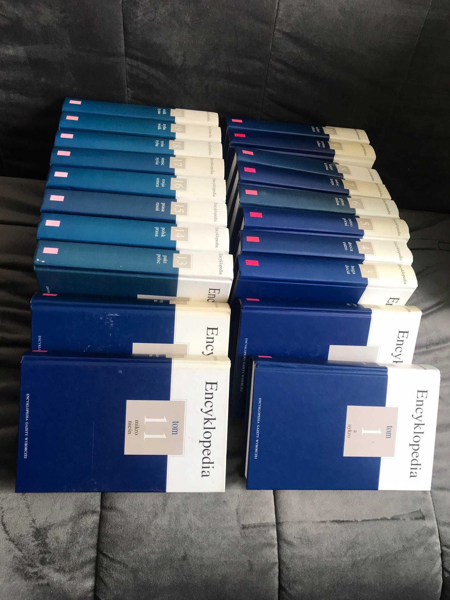 Wielka Encyklopedia PWN - wszystkie tomy, świetny stan