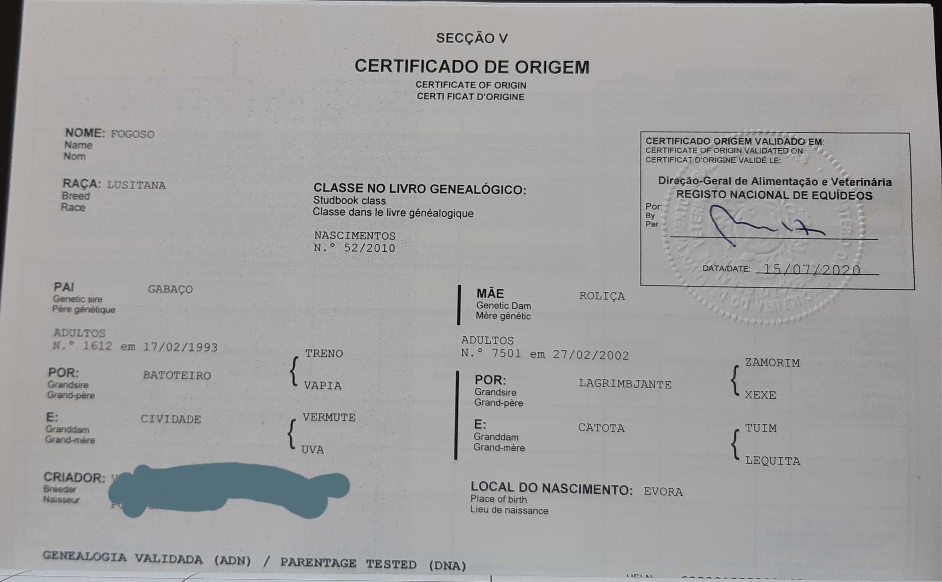 Cavalo PSL, com Livro Azul