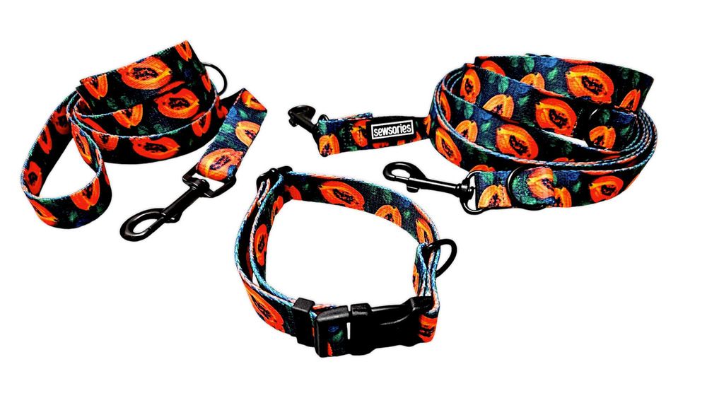 Obroża regulowana dla psa SEWSORIES PAPAYA FUSION rozmiar XS