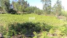 Venda de Terreno com 1550m², Cardielos, Viana do Castelo
