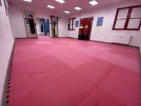 Sala treningowa 100m2, współpraca z instruktorem lub instruktorką