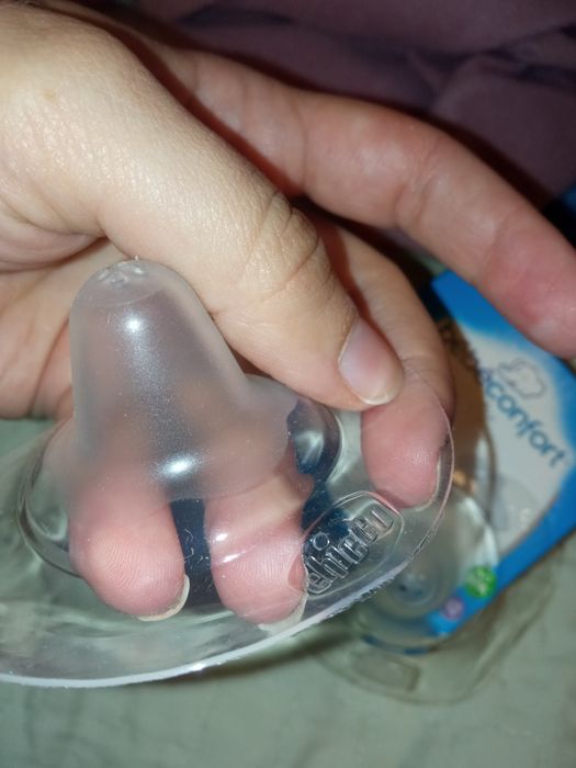 Proteção seios amamentação Chicco Novos