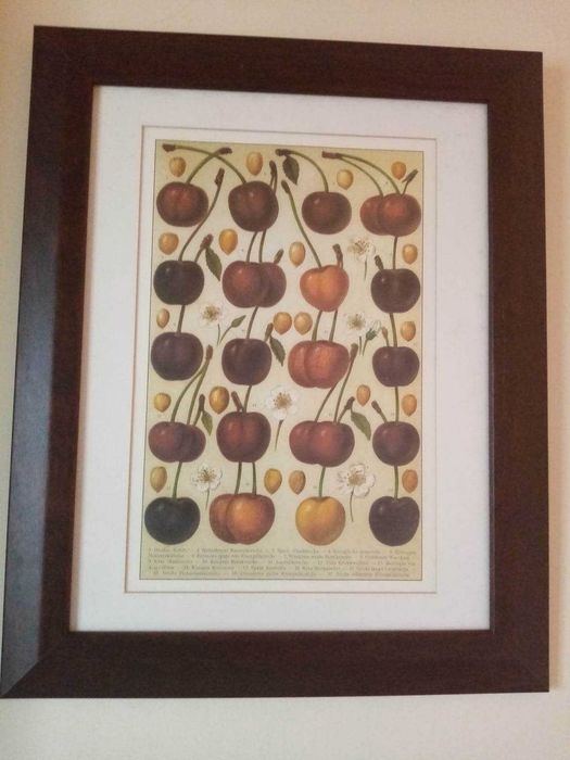 Quadro Cerejas em moldura de madeira