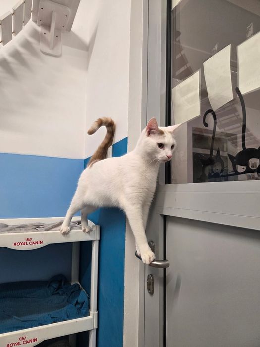 Sewo - wulkan energii