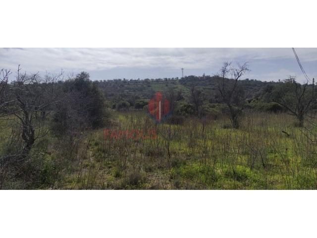 * Terreno Rústico com 2040 m² – Silves *