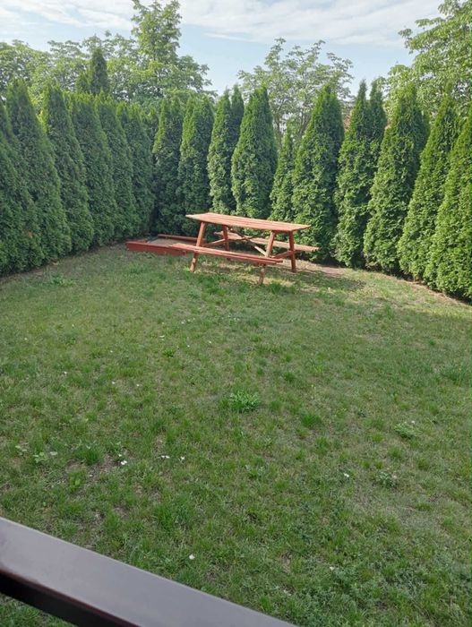 Mieszkanie do wynajęcia od 1.12.2025