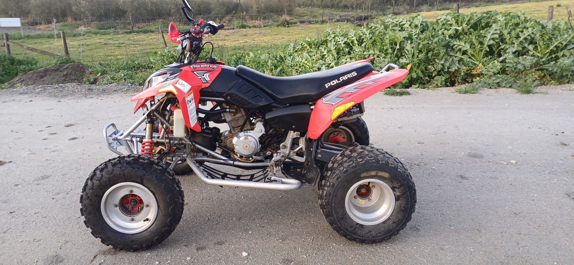 Polaris Predator 500