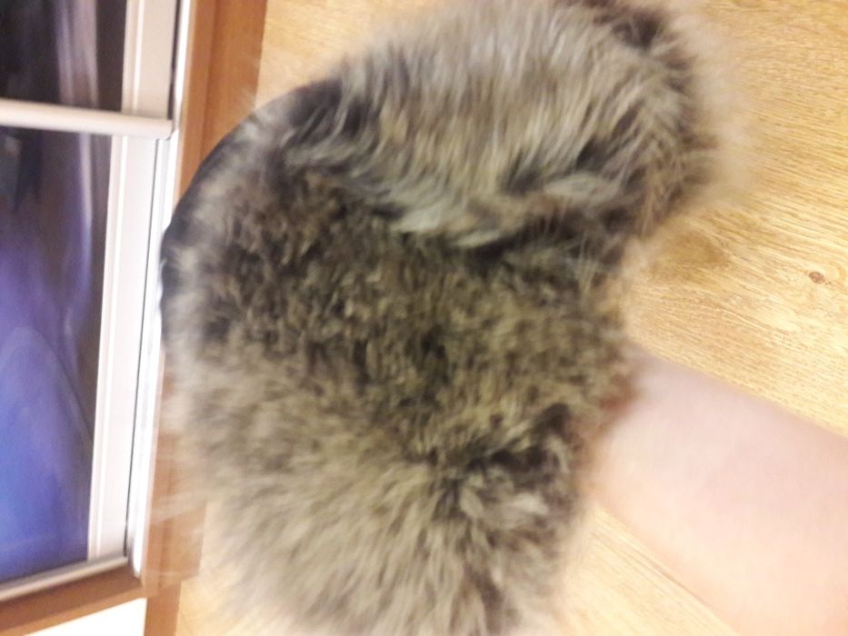 Шапка-ушанка кожа